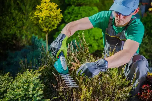 landscaping services Inniswold